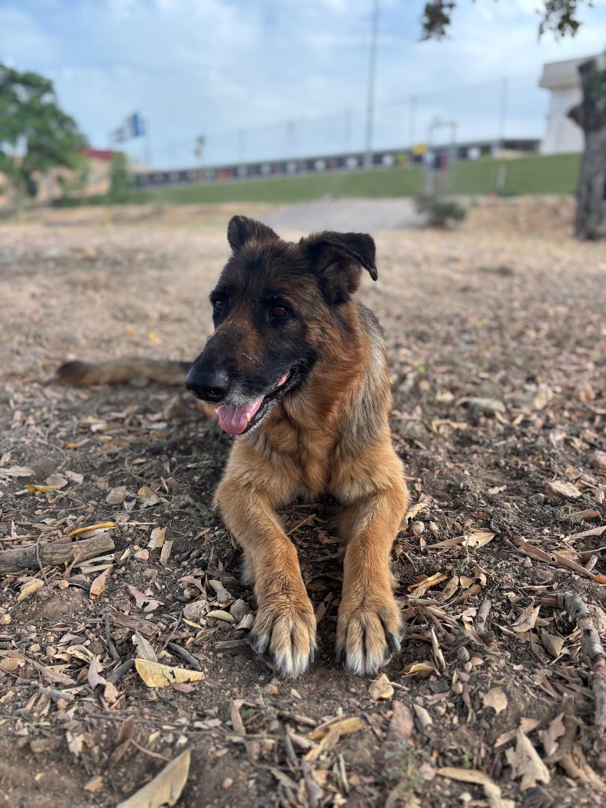Foto de Katara